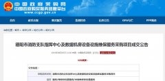 德陽市消防支隊數(shù)據(jù)機房設備采購項目成交公告